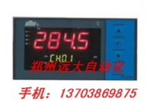 Donghui Instrument: DY2000 (F FR GF)position proportional valve position feedback PID controller