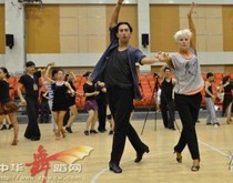 Michael Joanna Shijiazhuang Latin Dance Training Course Classroom Real Video 4DVD Latin Improving Teaching