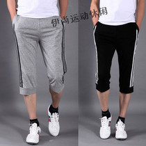 Summer Money Pure Cotton Sports Shorts Male Shorts Sports Pants High Quality Seven-minute Pants Casual Pants Big Yard