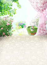 Childrens photography background cloth indoor mini background theme 100 days photo studio baby photo paper 1034