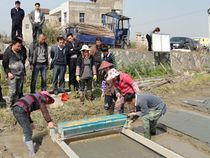 Kubota hand-push rice seeding machine Kubota rice seedling seeding machine SR-120C import