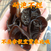 Small autumn ear small Bowl ear autumn fungus black fungus black fungus northeast Changbai mountain 2021 new goods no root free pick