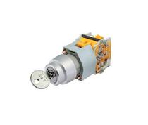 Brand LA39-11Y Two-position key switch three key button switch