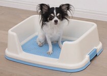 IRIS Love Lith Alice Antibacterial Splash Dog Toilet TRT-500 Small Number