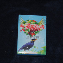 Preferential price starlings learning machine brother learning language parrot learning language happy learning machine learning phone