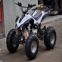 125 Ogawasaki ATV 8 inch four-wheeled off-road vehicle infinitely variable speed motorcycle extreme speed up jsd0102985