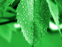 Jewelry after - sales management system jewelry after - sales service management jewelry maintenance management installation video