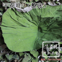 Whole dried lotus leaf quality 13 years Such as a home-grown slightly broken need to pack two layers of 50 grams about 5-8 sheets