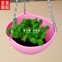 X-10 colored resin plastic hanging pots can be used to plant all kinds of grass flowers and hanging flowers to save space