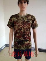 01 Physical training clothing physical fitness clothing shorts special camouflage T-shirt camouflage short sleeve sweatshirt