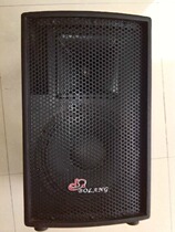 Braun 10-inch stage professional return speaker