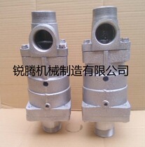 Ruiteng DS-G15 20 25 32 40 50 65 80 Double hot water rotary joint for mixer