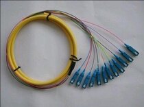 12-core SC fiber bundle pigtail