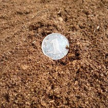 Promotion-original Dutch Tefie JIFFY peat moss (formerly TREF) Multi-meat sowing nursery Basin Cuttage