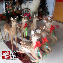 Jilin Shivemei flower deer model deer specimen morphology vary in size 