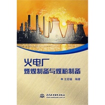 Coal-fired preparation and coal preparation in thermal power plants