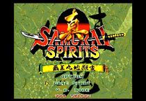  True Server Soul-Overlord Maru Hell change 16-bit game card with Sega MD game card