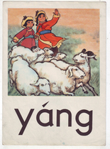 Pictorial sheet (literacy cards 19 specifications 26 * about 19 cm)