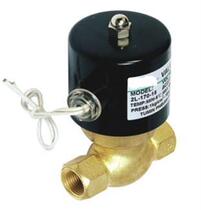 DN25 US-25 1 inch high temperature steam valve 2L200-25 two-position two-way solenoid valve