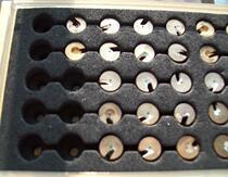 Original imported green glue crystal high power green pen KTP YVO4 with 8mm copper bracket laser