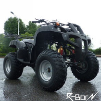 Differential Shaft Drive Aluminum Row 150cc Big Bull Beach Car Quad Bike All Terrain Quad Bike