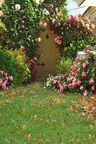 Childrens photography background cloth outdoor landscape grass green theme 100 days photo studio baby photo background paper 1472