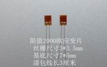 10 slices of large resistance strain sheet 2000 Euro strain sheet 2000 European resistance strain sheet large value AA monolithic