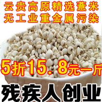 Guizhou high quality small coix seed barley rice no sulfur fumigation White 500g no industrial pollution dbfEUcQ9