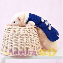 Angoru clothes pet ferret clothing vest T blood tuxedo Prince