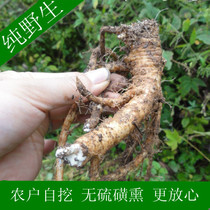 Changbai Mountain wild codonopsis farmers self-dig rich taste with astragalus soup