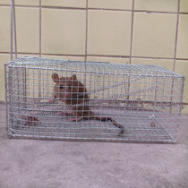 Rat cage Mousetrap Mousetrap Barbed wire rat cage
