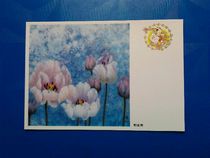 1992 New Year (with prize) postcard award-winning commemorative film Tulip brand new top-level physical photo