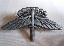 American Airparade Parachute Parach Parach Parachute Grade Pass Brand Badge