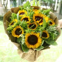 Shanghai Flowers Express sunflower 10 bouquets birthday wishes to send flowers Valentines Day Mid-Autumn Festival Flowers Express