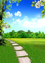 Childrens photography background cloth outdoor landscape grass green theme 100 days photo studio baby photo background paper 1304