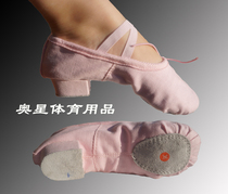 Leather canvas adult belt with two-soled cat claw shoes Teacher shoes Red dance ballet dance shoes National dance shoes