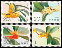 1995-6 Osmanthus stamp collection