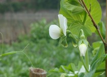 Financial Out of Management SQL Edition Financial Accounts Management Out of Management Finance Fixed Asset Management