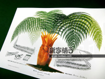 (Plant-1) illustration hand-painted super realistic plant flower poster painting core decorative painting buy 5 Get 1