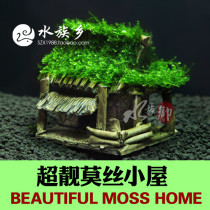 Aquarium township] Ceramic shrimp nest tied super beautiful small triangle moss hut tied water plant moss fern water plant