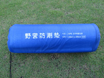 Special 200*200 moisture-proof mat tent mat mat cloth