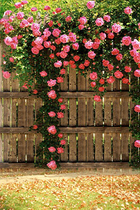 Childrens photography background cloth outdoor landscape grass green theme 100 days photo studio baby photo background paper 1483