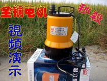 220V Voltage Submersible Pumps Agricultural Watering Flowers Irrigation Household Large Flow Pumping Water Pumps Irrigation Agricultural Sewerage Pumps