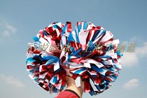 -- Dingxing Star Team Competition (export money) cheerleading flower polo ball-and-chew-ball handball flower