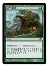 Wan Zhi brand plant broke out Dragon lost city DGM green iron