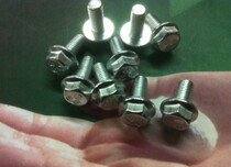 Blue and white zinc flange screws M5 * 12 100