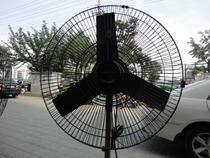 Dedong] 500 upright exhaust fan F50-4 industrial fan Dongma (full copper wire) 12kg each