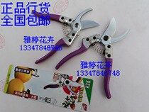 Flower scissors flower scissors flower scissors fruit tree scissors pruning shears gardening scissors Taiwan holiday farmer purple