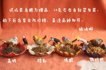 Yao Hongming bird food to try out the broth thrush singing bird fighting eye red blue indigo chin Parrot bird food feed