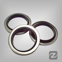 Factory stock supply Kaishan air compressor seal oil seal high temperature resistant PTFE stainless steel